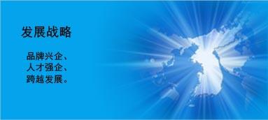 發(fā)展戰(zhàn)略 發(fā)展戰(zhàn)略